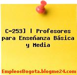 C-253] | Profesores para Enseñanza Básica y Media