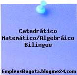 Catedrático Matemático/Algebráico Bilingue