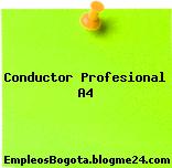 Conductor Profesional A4