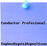 Conductor Profesional