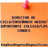 DIRECTOR DE CICLO/ENSEÑANZA MEDIA/ IMPORTANTE COLEGIO/LAS CONDES