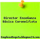 Director Enseñanza Básica Coronel/Lota