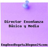 Director Enseñanza Básica y Media