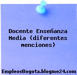 Docente Enseñanza Media (diferentes menciones)
