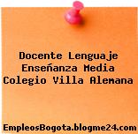 Docente Lenguaje Enseñanza Media Colegio Villa Alemana
