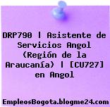 DRP790 | Asistente de Servicios Angol (Región de la Araucanía) | [CU727] en Angol
