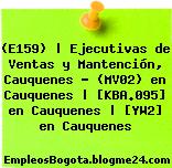 (E159) | Ejecutivas de Ventas y Mantención, Cauquenes – (MV02) en Cauquenes | [KBA.095] en Cauquenes | [YW2] en Cauquenes