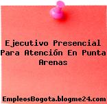 Ejecutivo Presencial Para Atención En Punta Arenas