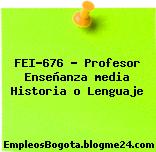 FEI-676 – Profesor Enseñanza media Historia o Lenguaje