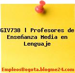 GIV738 | Profesores de Enseñanza Media en Lenguaje