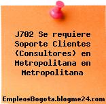 J702 Se requiere Soporte Clientes (Consultores) en Metropolitana en Metropolitana