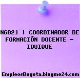N602] | COORDINADOR DE FORMACIÓN DOCENTE – IQUIQUE