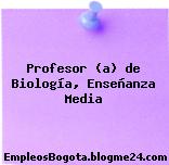 Profesor (a) de Biología, Enseñanza Media