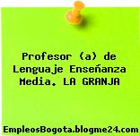 Profesor (a) de Lenguaje Enseñanza Media. LA GRANJA