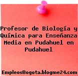 Profesor de Biología y Química para Enseñanza Media en Pudahuel en Pudahuel