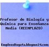 Profesor de Biología y Química para Enseñanza Media (REEMPLAZO)