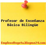 Profesor de Enseñanza Básica Bilingüe