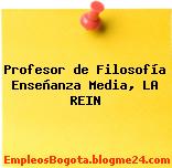 Profesor de Filosofía Enseñanza Media, LA REIN