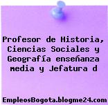 Profesor de Historia, Ciencias Sociales y Geografía enseñanza media y Jefatura d
