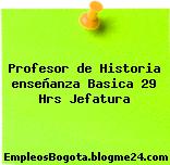 Profesor de Historia enseñanza Basica 29 Hrs Jefatura