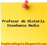 Profesor de Historia Enseñanza Media