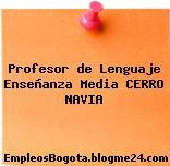 Profesor de Lenguaje Enseñanza Media CERRO NAVIA