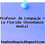 Profesor de lenguaje La Florida Enseñanza Media