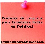 Profesor de Lenguaje para Enseñanza Media en Pudahuel