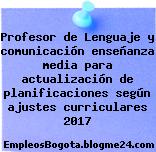 Profesor de Lenguaje y comunicación enseñanza media para actualización de planificaciones según ajustes curriculares 2017