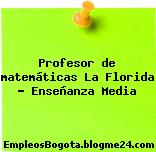 Profesor de matemáticas La Florida – Enseñanza Media
