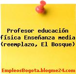 Profesor educación física Enseñanza media (reemplazo, El Bosque)