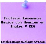 Profesor Ensenanza Basica con Mencion en Ingles V REG