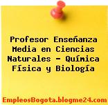 Profesor Enseñanza Media en Ciencias Naturales – Química Física y Biología