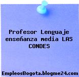 Profesor Lenguaje enseñanza media LAS CONDES