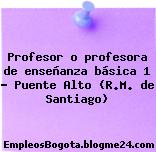 Profesor o profesora de enseñanza básica 1 – Puente Alto (R.M. de Santiago)