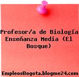 Profesor/a de Biología Enseñanza Media (El Bosque)