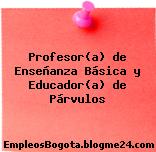 Profesor(a) de Enseñanza Básica y Educador(a) de Párvulos