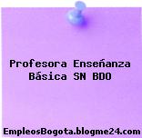 Profesora Enseñanza Básica SN BDO