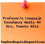 Profesor/a Lenguaje Enseñanza Media 44 hrs. Puente Alto