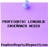 Profesora Lenguaje Enseñanza Media
