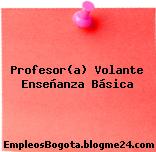 Profesor(a) Volante Enseñanza Básica