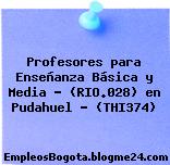 Profesores para Enseñanza Básica y Media – (RIO.028) en Pudahuel – (THI374)