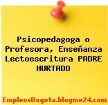Psicopedagoga o Profesora, Enseñanza Lectoescritura PADRE HURTADO