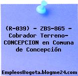 (R-039) – ZBS-865 – Cobrador Terreno- CONCEPCION en Comuna de Concepción