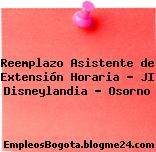 Reemplazo Asistente de Extensión Horaria – JI Disneylandia – Osorno