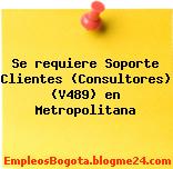 Se requiere Soporte Clientes (Consultores) (V489) en Metropolitana