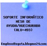 SOPORTE INFORMÁTICO MESA DE AYUDA/HUECHURABA (ALU-493)