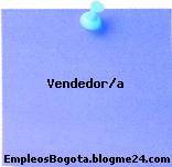 Vendedor/a