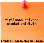 Vigilante Privado ciudad Valdivia