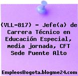 (VLL-817) – Jefe(a) de Carrera Técnico en Educación Especial, media jornada, CFT Sede Puente Alto